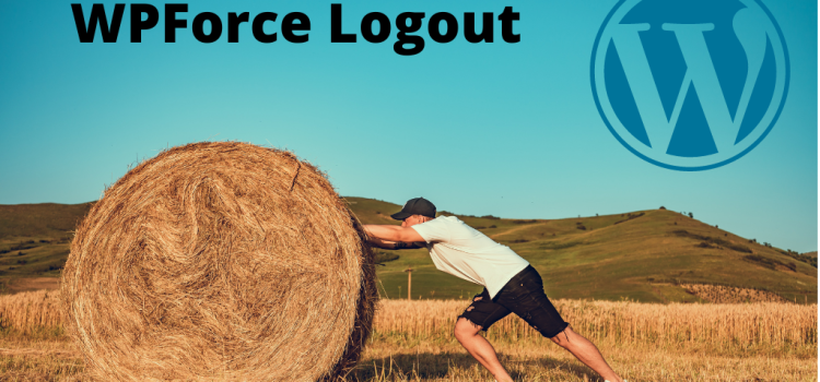 How to force logout users from the WordPress site?